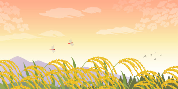 稻穗秋景_图像背景(2:1)图片下载