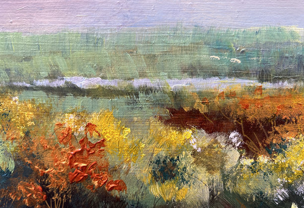 花园和田野图片下载