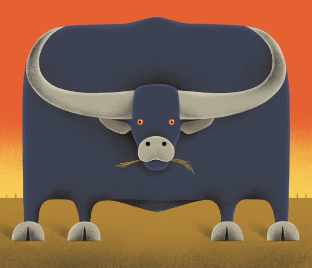 亚洲水牛图片下载