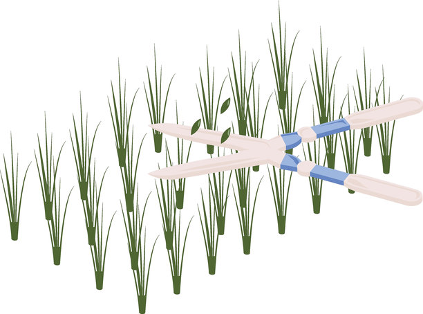 修剪灌木从形式场等距概念，剪枝矢量图标设计，草坪和园艺符号，农场和植物标志，农业和园艺设备库存插图图片下载