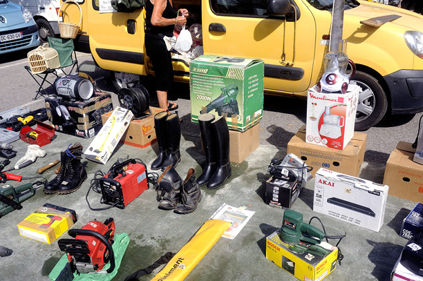 跳蚤Anduze图片下载