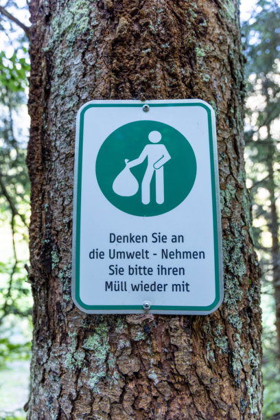 森林中树木的环保意识标志图片下载