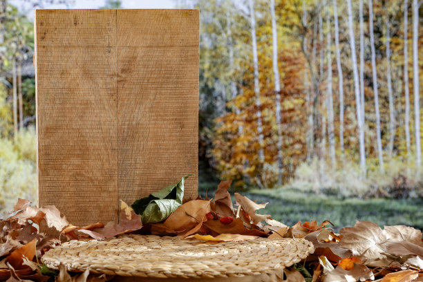 秋季景观森林与木桌和基座与复制空间的产品和秋天的背景。图片下载