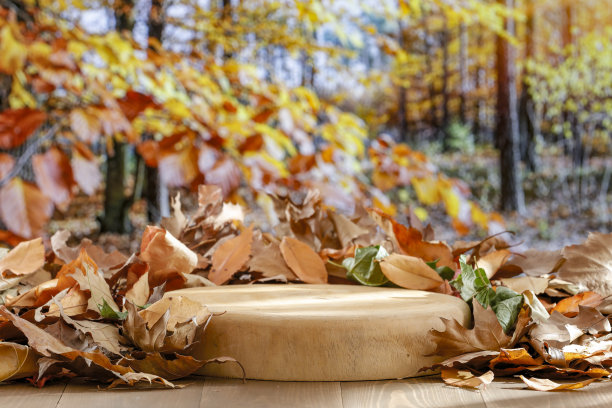 秋季景观森林与木桌和基座与复制空间的产品和秋天的背景。图片下载