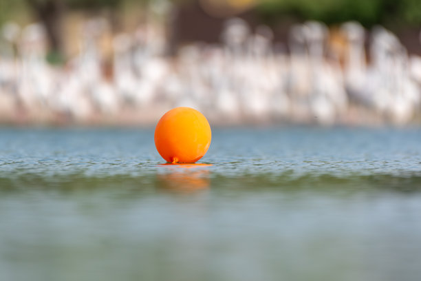 漂浮在水中的橙色气球图片下载