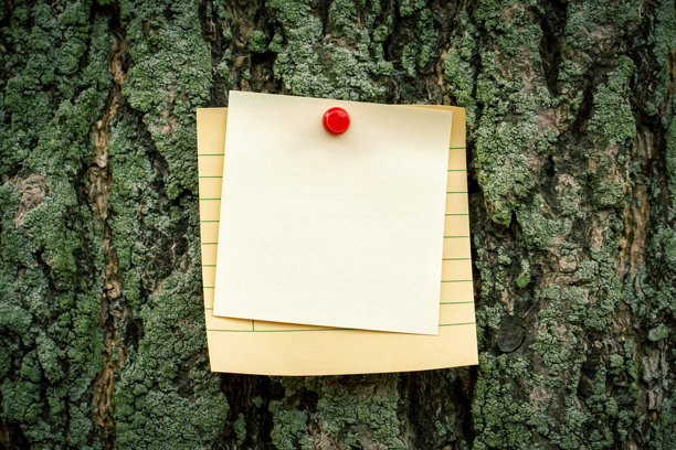 树上黏贴图片下载