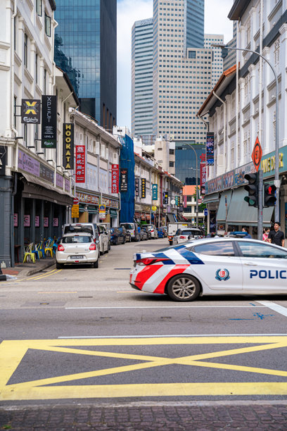 唐人街有著名的中国建筑、餐馆和装饰。许多游客在那里找到正宗的食物，衣服和其他东西，人们从事日常活动。图片下载