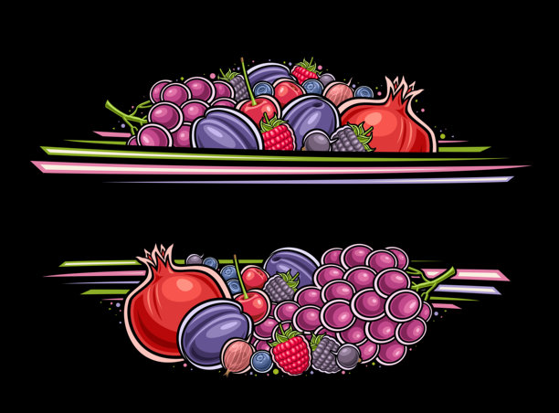 矢量浆果边界图片下载