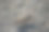 一只蚱蜢在鹅卵石上图片下载