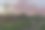 3d渲染戏剧性的天空在草地上图片下载