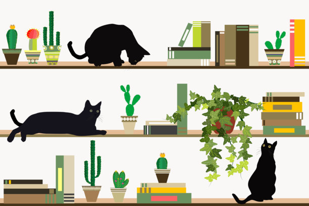 书架上放着书，仙人掌盆和黑猫图片下载