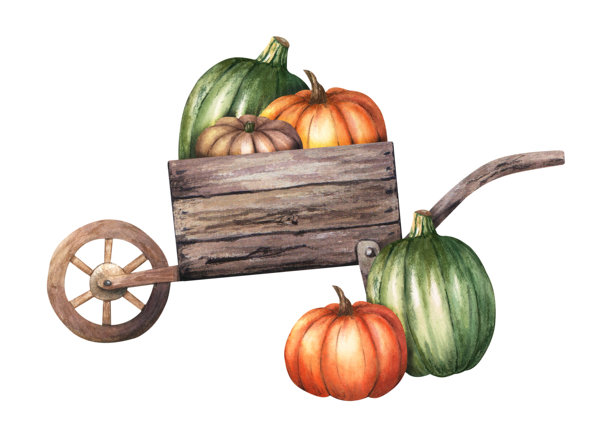 由古色古香、质朴的老木轮和经典的秋菜南瓜组成。水彩插图孤立的白色背景。用于剪贴画海报传单图片下载