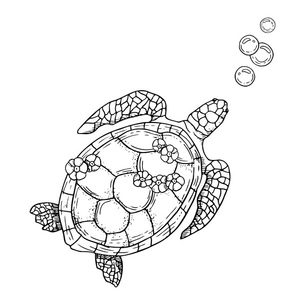 线海龟游泳之间的气泡黑色和白色矢量插图。水墨单色海洋动物与椭圆形的壳。海洋水下自然为航海设计图片下载