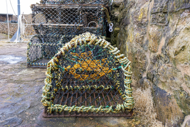 一堆盛着龙虾和螃蟹的锅，都被海水浸透了，靠在港口的墙边图片下载