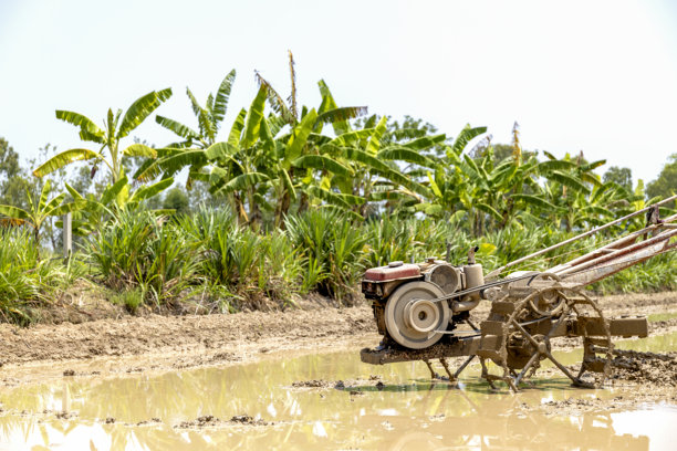 农用手扶拖拉机图片下载