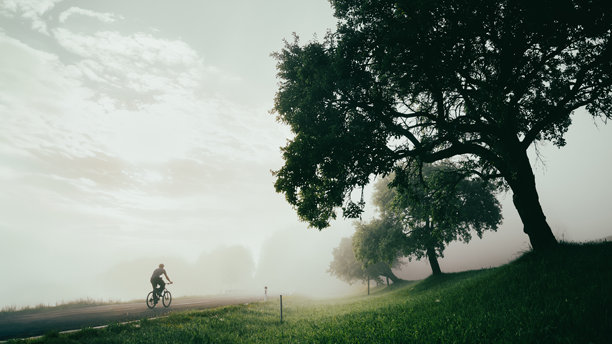 黎明时分，在宁静的树木和翠绿的风景中，骑自行车的人在雾蒙蒙的乡村道路上行驶。全景照片，白色编辑空间图片下载