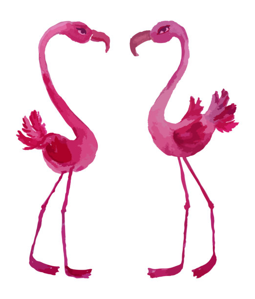 水彩矢量绘制的两个卡通热带粉红色火烈鸟，手绘插图孤立的白色图片下载