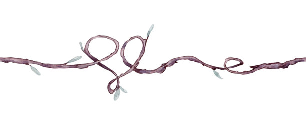 细枝形心水彩无缝边界隔离。精致的树枝与简单的绿叶上重复横幅手绘。自然设计元素，情人节，乡村婚礼图片下载