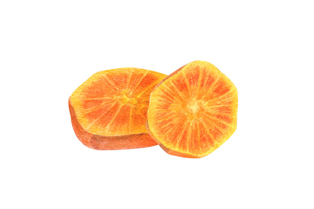 两个切碎的橙色胡萝卜片躺在彼此的顶部水彩画上孤立的白色插图。新鲜天然健康根茎植物成分，用于抗氧化饮料，美味蛋糕图片下载