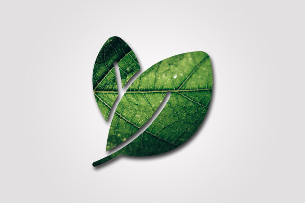 绿叶标志矢量模板元素符号设计图片下载