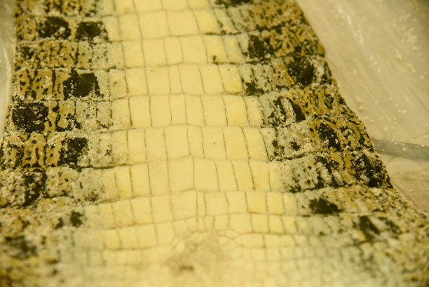 将鳄鱼皮盐化保存，使其可以长期用作服装、手袋、鞋类、家具、运动器材和工具。图片下载