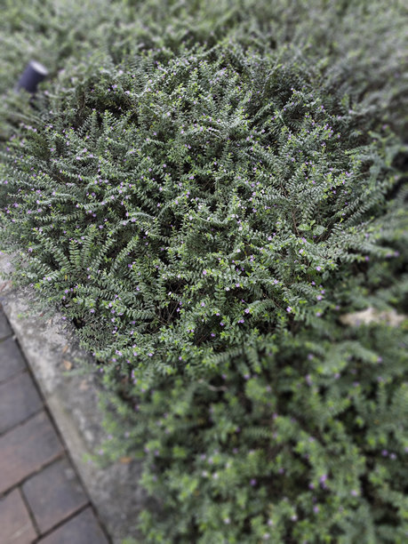 当地农村职业、生活方式和职业岗位图库图片下载