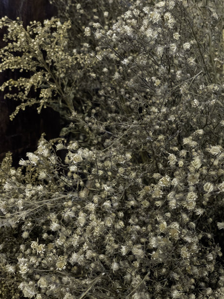 当地农村职业、生活方式和职业岗位图库图片下载