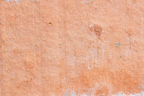 照片的背景是桃花心木图片下载