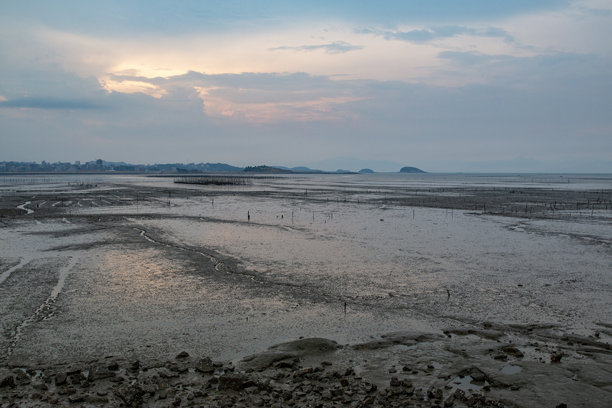 海边的田野图片下载