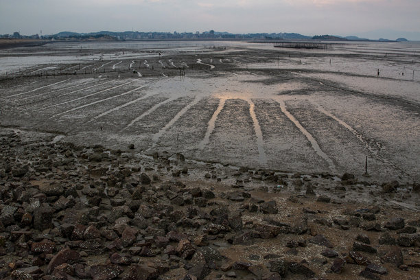 海边的田野图片下载