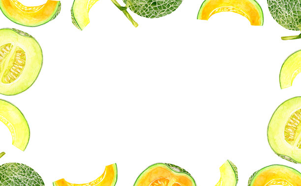 瓜框架。蔬菜和水果的水彩插图背景。图片下载