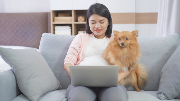 一幅幸福的亚洲孕妇与家养宠物狗在家里卧室的肖像。生孩子了。家庭人的生活方式。妈妈的爱。图片下载