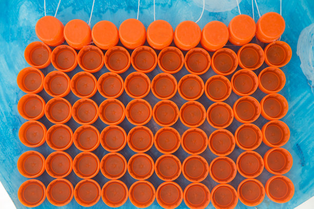 塑料瓶盖被隔离在蓝色背景上。橙色盖子俯视图。蓝色背景上的橙色塑料容器。图片下载