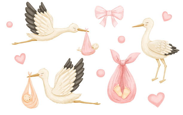 水彩鹤抱着刚出生的女婴。可爱的手绘插图集孤立的白色背景图片下载