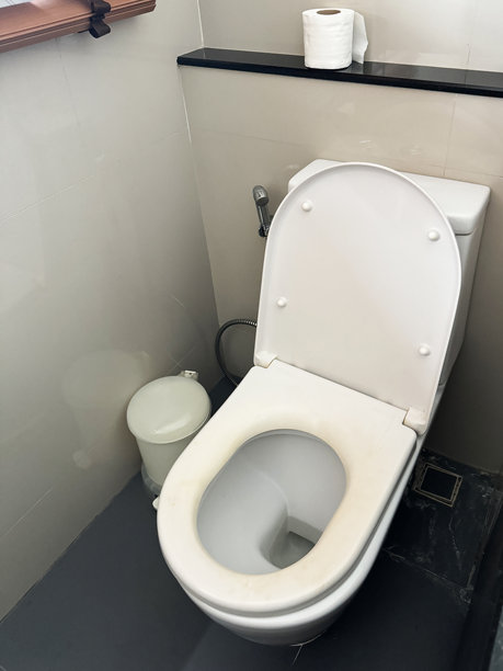 公共厕所隔间的特写图片，白色的马桶，凸起的马桶盖，尿渍的坐垫，墙上的手淋浴坐浴盆头附件，墙支架和软管，WC坐浴盆冲洗淋浴喷头，卫生桶，瓷砖地板，高架视图图片下载