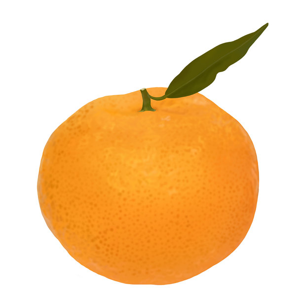 橘子图片下载
