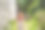 一名女游客走过黑山的巴尔老城。快乐的游客在山上散步。巴尔市郊区，黑山，巴尔干半岛。美丽的自然景观图片下载