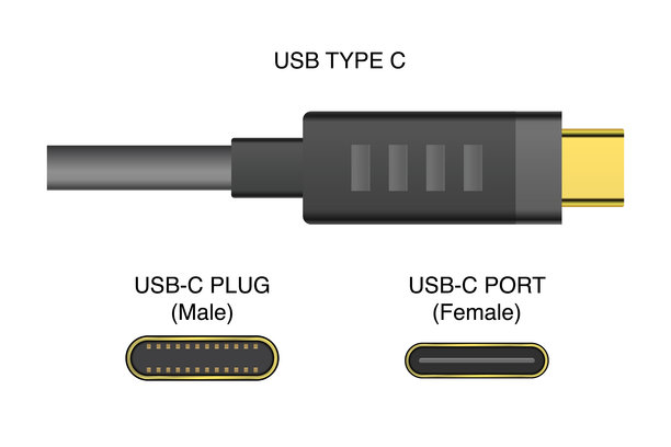 USB Type-C电缆(公插母插座)向量。图片下载