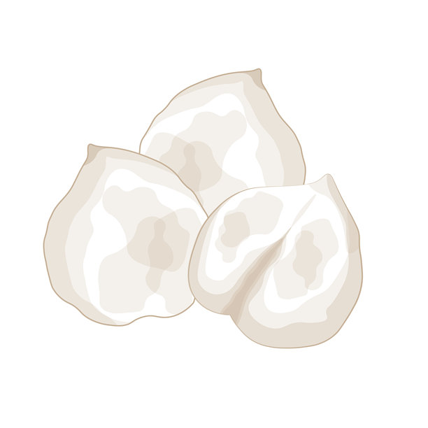 简单的线条艺术鹰嘴豆超级食品图片下载