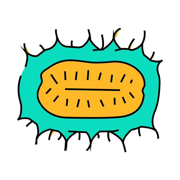 安圭里亚黄瓜图标彩色插图图片下载