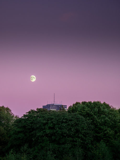 这是一张夜间拍摄的照片，拍摄的是位于树丛后面的一座塔楼的顶部，月亮接近满月，天空是紫色的图片下载