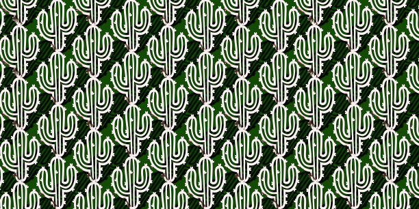 Сactus贺卡模板图案。墨西哥。3d渲染。图片下载