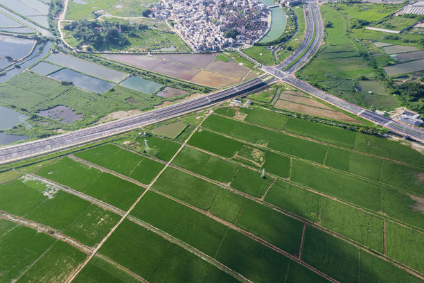 穿越湿地道路的航拍照片图片下载