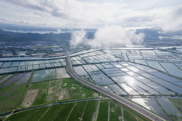 穿越湿地道路的航拍照片图片下载