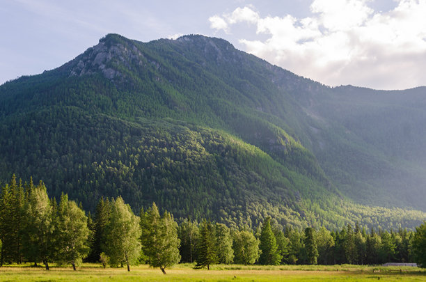 阳光下的高山草地。乡村春天的风景，雾气中的山谷在森林后面的草山上。明亮的蓝天上飘着蓬松的云。高品质照片自然清新的概念图片下载