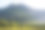 阳光下的高山草地。乡村春天的风景，雾气中的山谷在森林后面的草山上。明亮的蓝天上飘着蓬松的云。高品质照片自然清新的概念图片下载