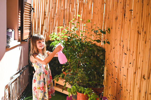 小女孩在露台上给植物浇水。图片下载