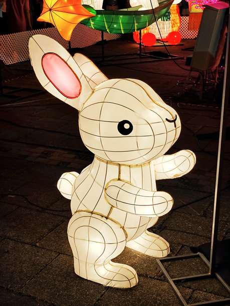 兔子灯笼图片下载