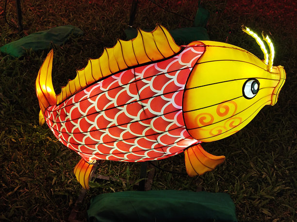 鲤鱼灯图片下载