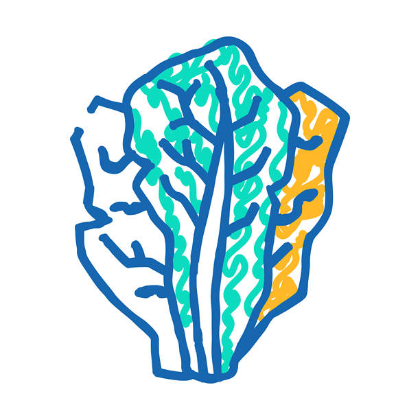 生菜食物图标涂鸦插图图片下载